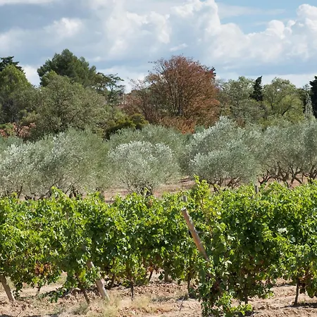 Chateau Canet * Rustiques