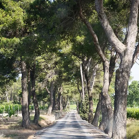 Nyaraló Chateau Canet