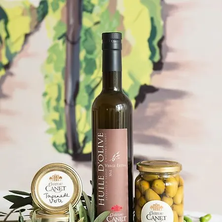 Ferienhaus Chateau Canet