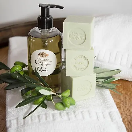 Chateau Canet Ferienhaus Rustiques