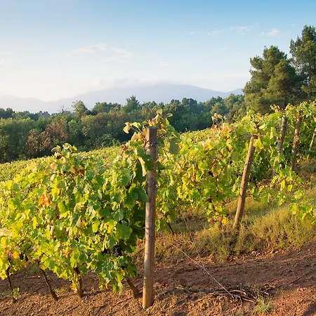 Chateau Canet Nyaraló Rustiques