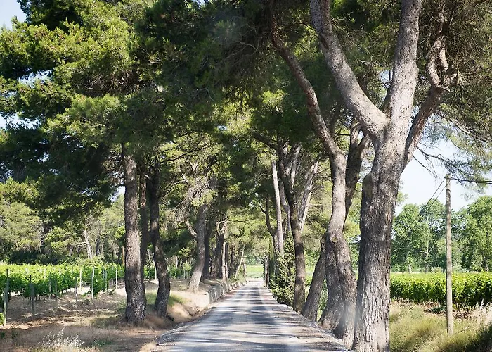 度假居 卡奈城堡酒店