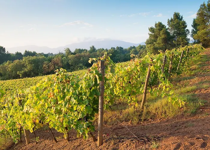 卡奈城堡酒店 度假居 Rustiques