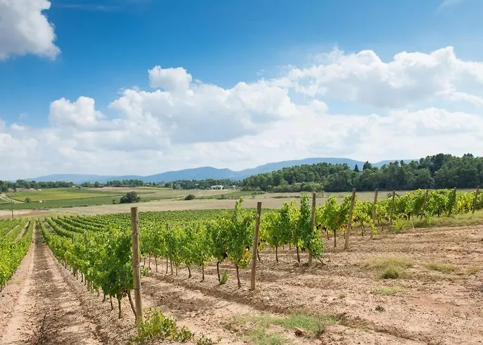 卡奈城堡酒店 Rustiques